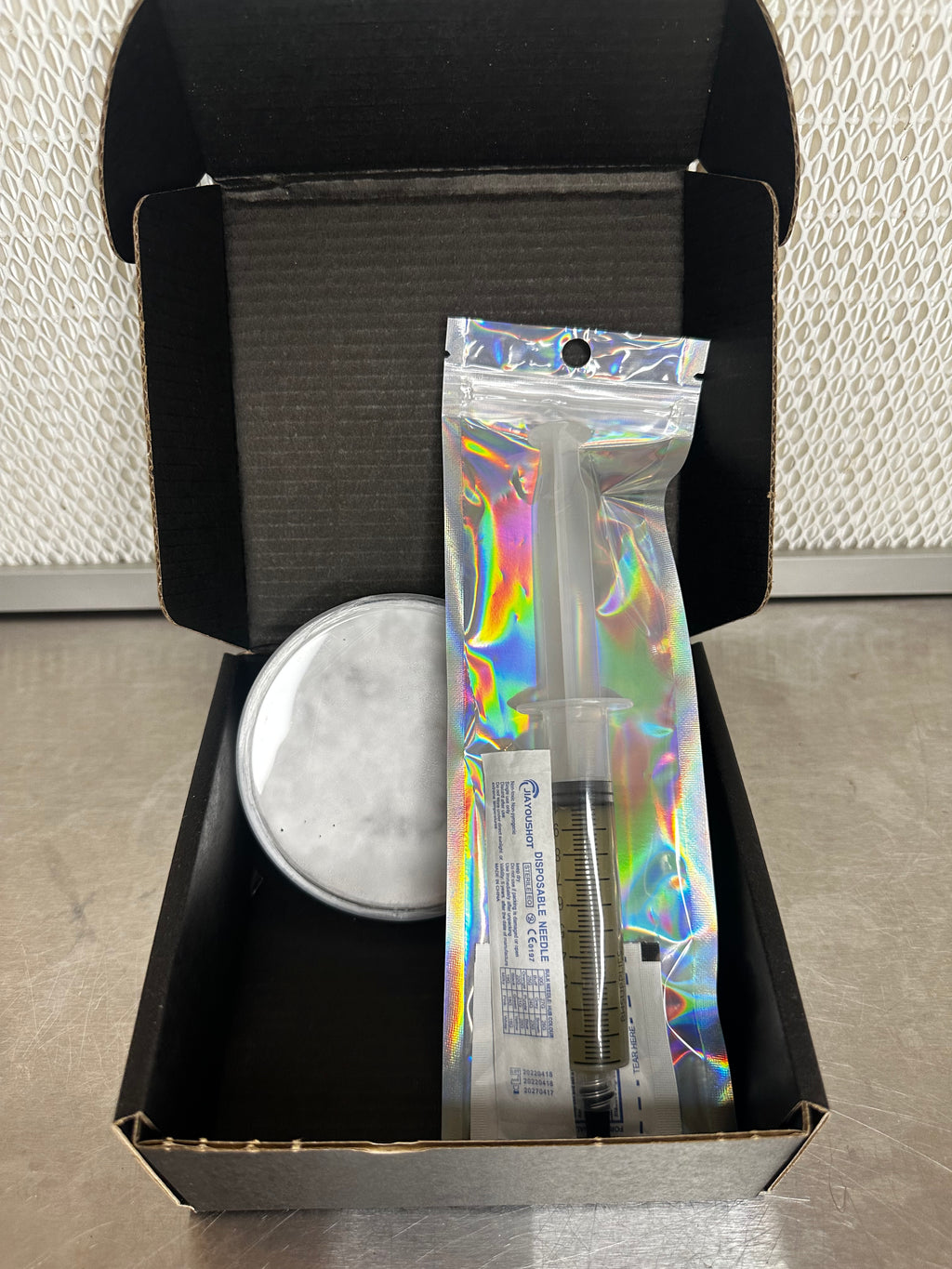 Psilocybe Cyanescens